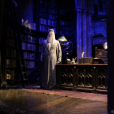 Dumbledore's costume standing in his office. © Violet Acevedo.